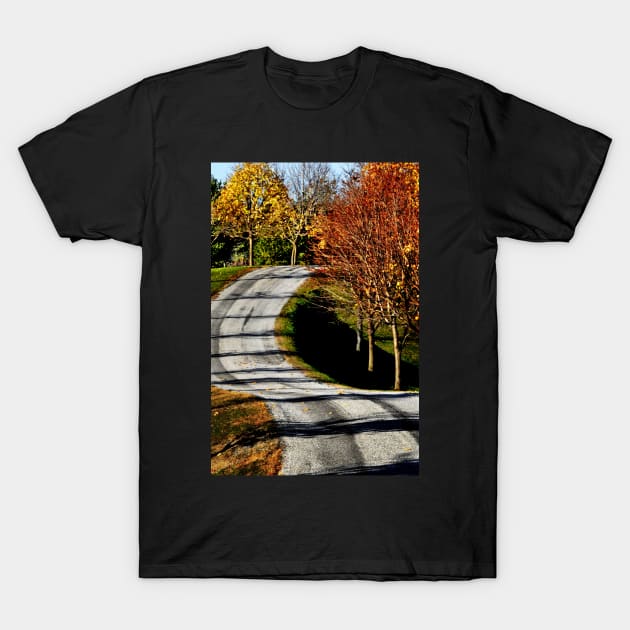 The long & winding road... T-Shirt by LaurieMinor